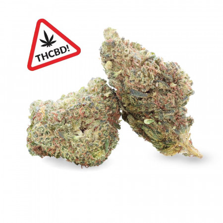 Jack Herer - Fleur de THCBD - Ivory