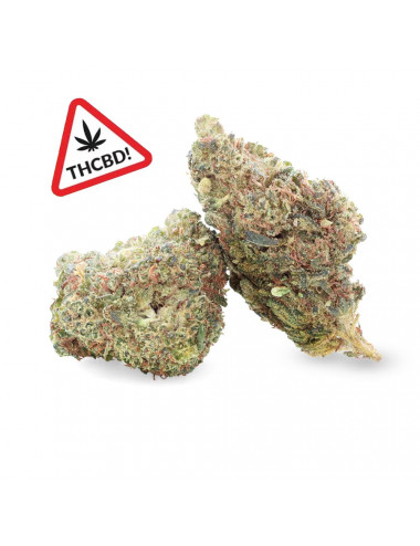 Jack Herer - Fleur de THCBD - Ivory