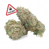 Sour Diesel - Fleur de THCBD - Ivory