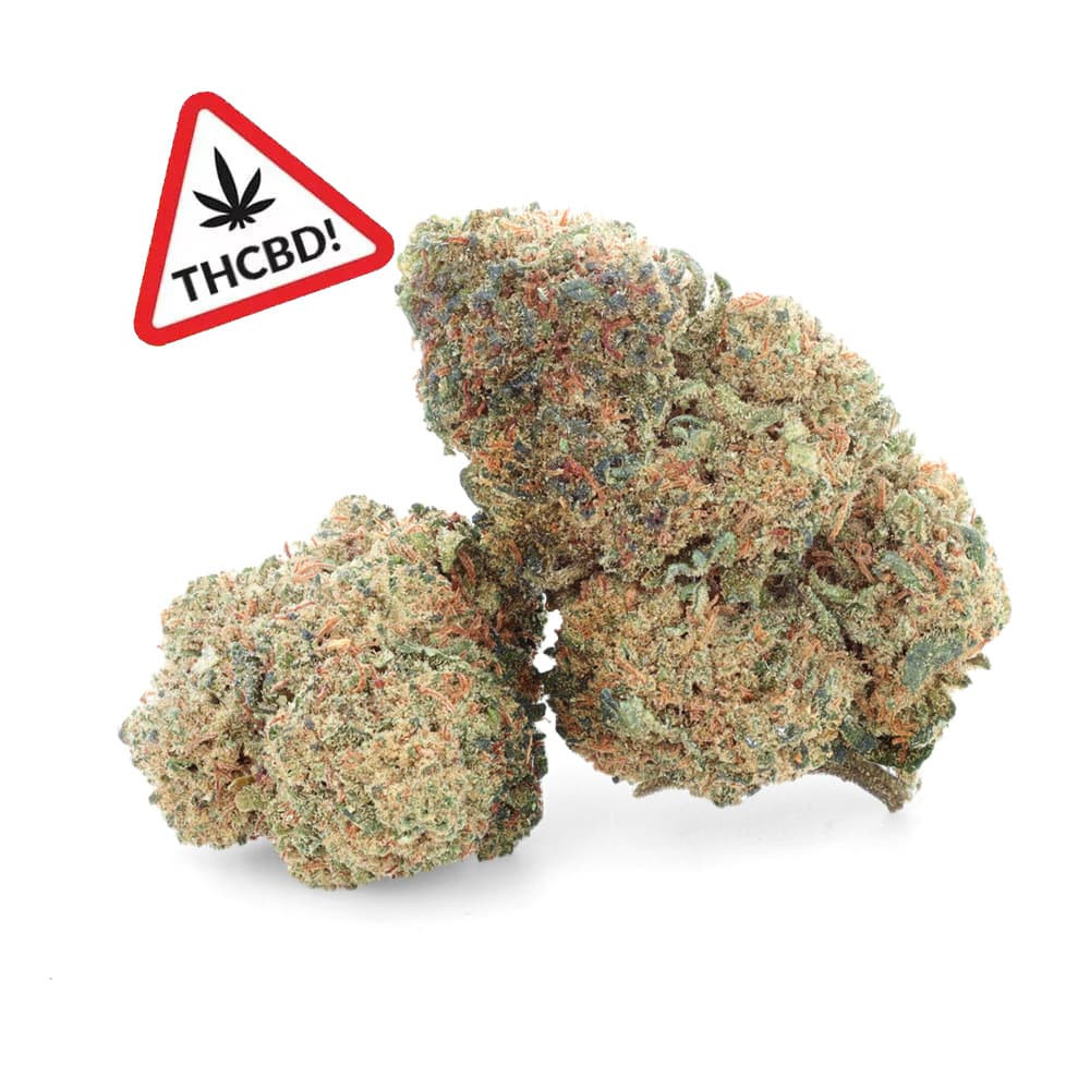 Jamaïcan Kush - Fleur de THCBD - Ivory