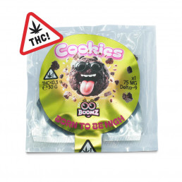 Space Chocolat D9 - Boomz