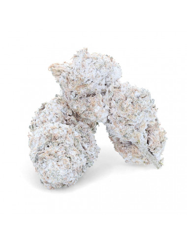 Snow Kush - Fleur de CBD - Easy Weed