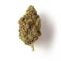 Cinnamon Haze - Fleur de CBD - Easy Weed