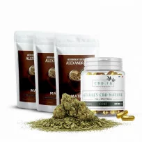 Routine du matin Maté au CBD