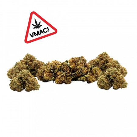 Fleur Forbidden VMAC HYPER STRONG  - White rabbit