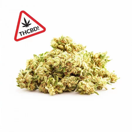 Pop Corn - Fleur de THCBD - Ivory