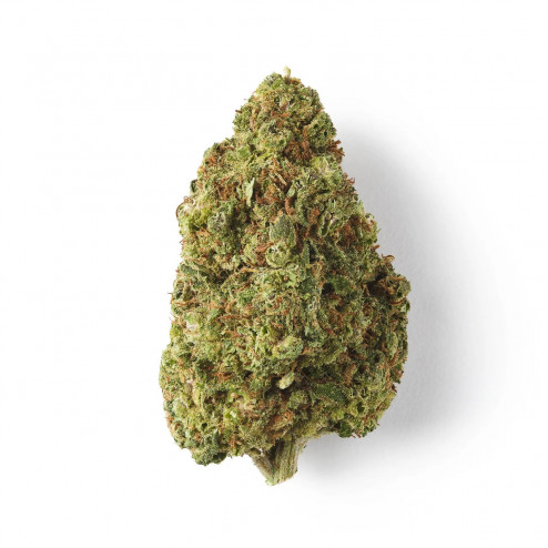 Cookie - Easy Weed