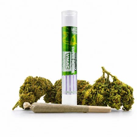 Pré roulés Super Skunk - VMAC Hyper Strong - White Rabbit