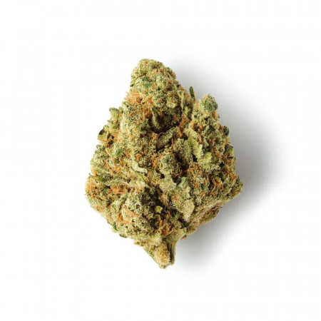 Amnesia Royal - Fleur de THCBD - TKO Lab - THCBD