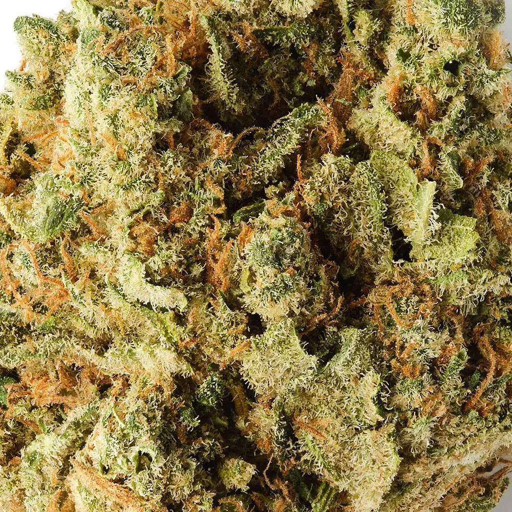 Amnesia Royal - Fleur de THCBD - TKO Lab TKO Lab - 2-cbd