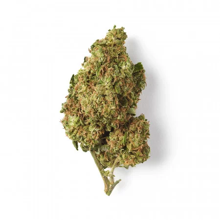 Lemon haze - Fleur de THCBD - TKO Lab - THCBD
