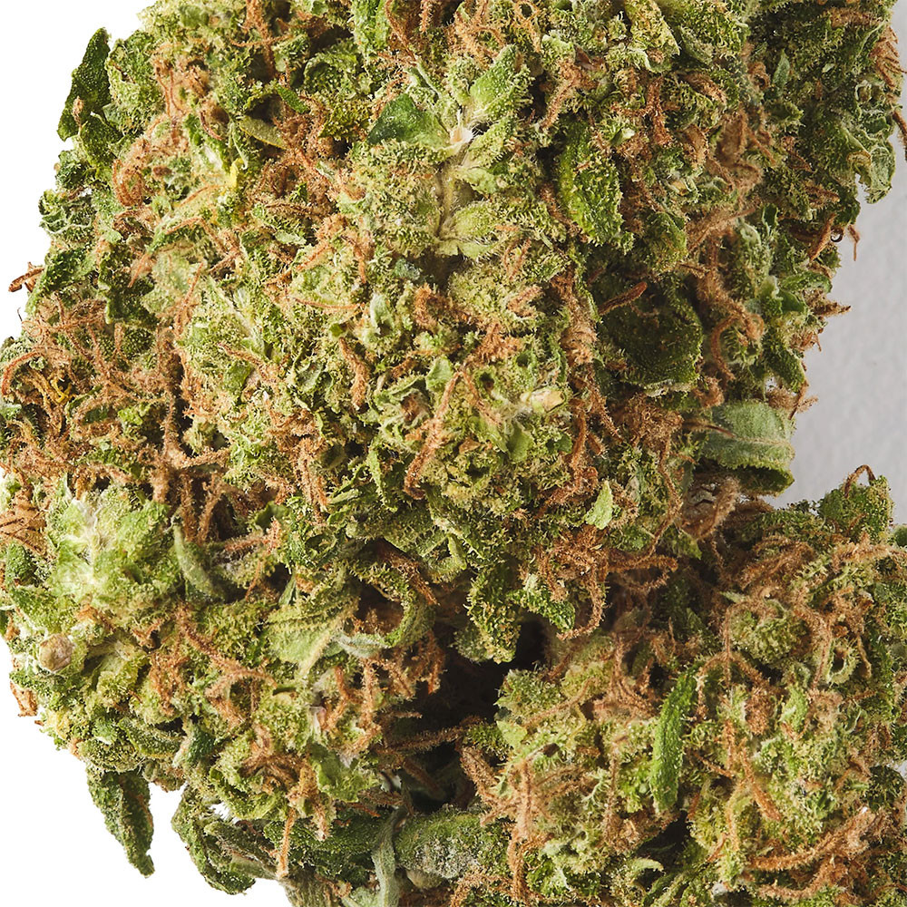 Lemon haze - Fleur de THCBD - TKO Lab TKO Lab - 2-cbd