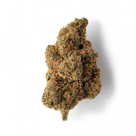 Tropical Kush - Fleur de THCBD - TKO Lab - THCBD