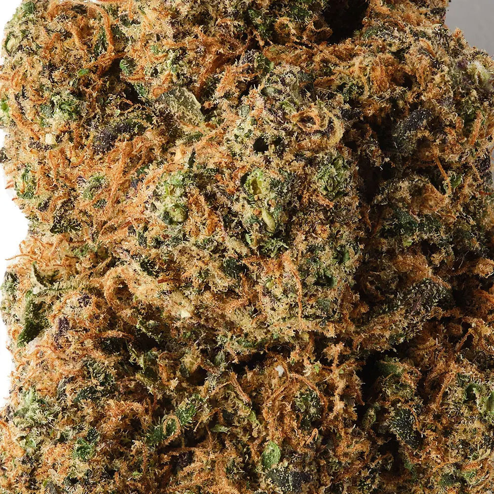 Tropical Kush - Fleur de THCBD - TKO Lab TKO Lab - 2-cbd