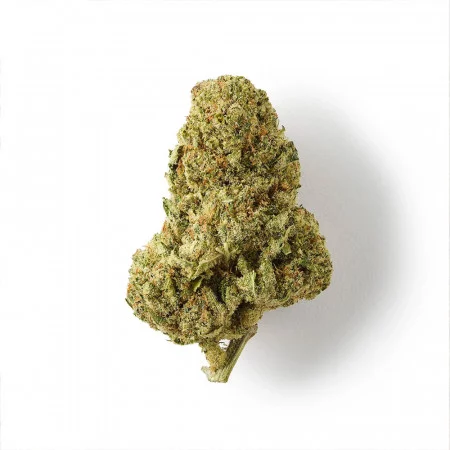 Girl Scoot Cookie - Fleur de THCBD - TKO Lab - THCBD