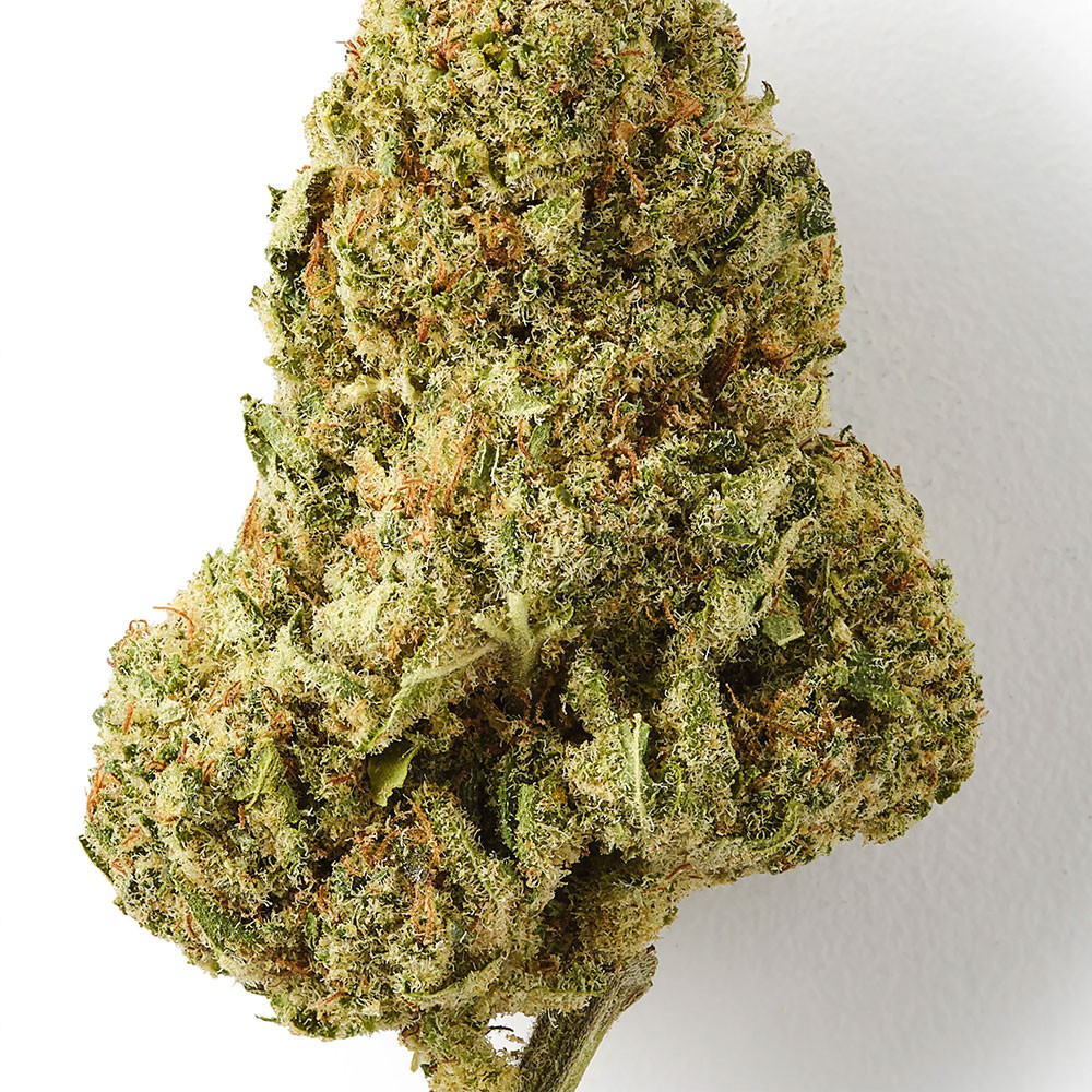 Girl Scoot Cookie - Fleur de THCBD - TKO Lab TKO Lab - 2-cbd