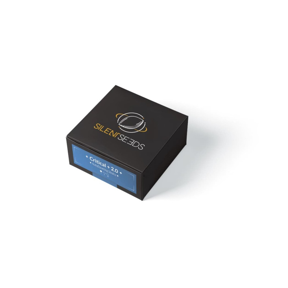 Graine THC Critical + 2.0 - AUTO - Silent Seeds Silent Seeds - 3-cbd