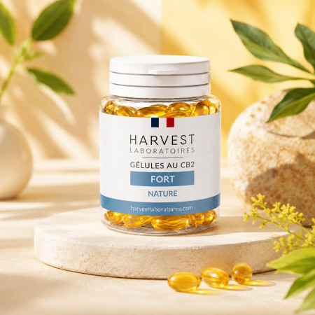 Gélules CB2 - Fort - Harvest Laboratoires Harvest Laboratoires - 1-cbd - Gélules CB2