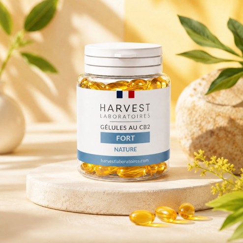 Gélules CB2 - Fort - Harvest Laboratoires Harvest Laboratoires - 1-cbd