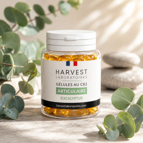 Gélules CB2 - Articulation - Harvest Laboratoires Harvest Laboratoires - 1-cbd