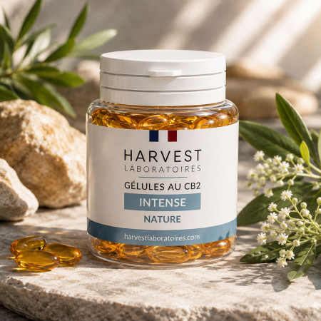 Gélules CB2 - Intense - Harvest Laboratoires Harvest Laboratoires - 1-cbd - Gélules CB2