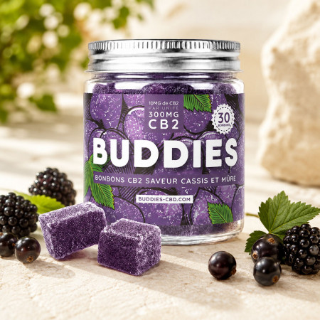 Bonbon CB2 Fruits des bois - Buddies Buddies - 1-cbd - Gummies CB2