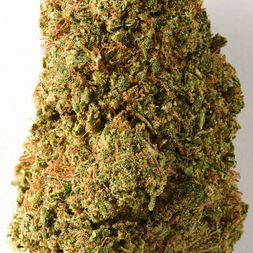 Tarmac - Fleur de CBD - Ivory Ivory - 2-cbd