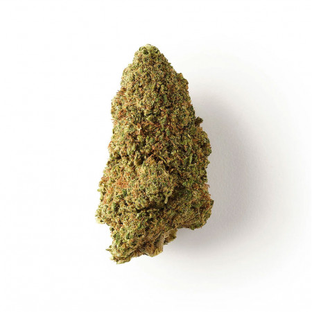Tarmac - Fleur de CBD - Ivory Ivory - 1-cbd - Fleurs de CBD