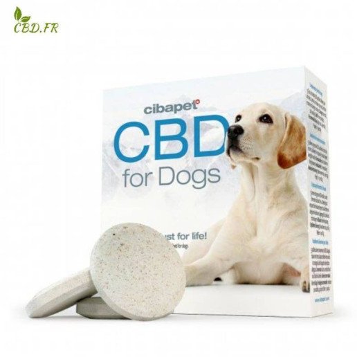 Pastilles de CBD pour chiens