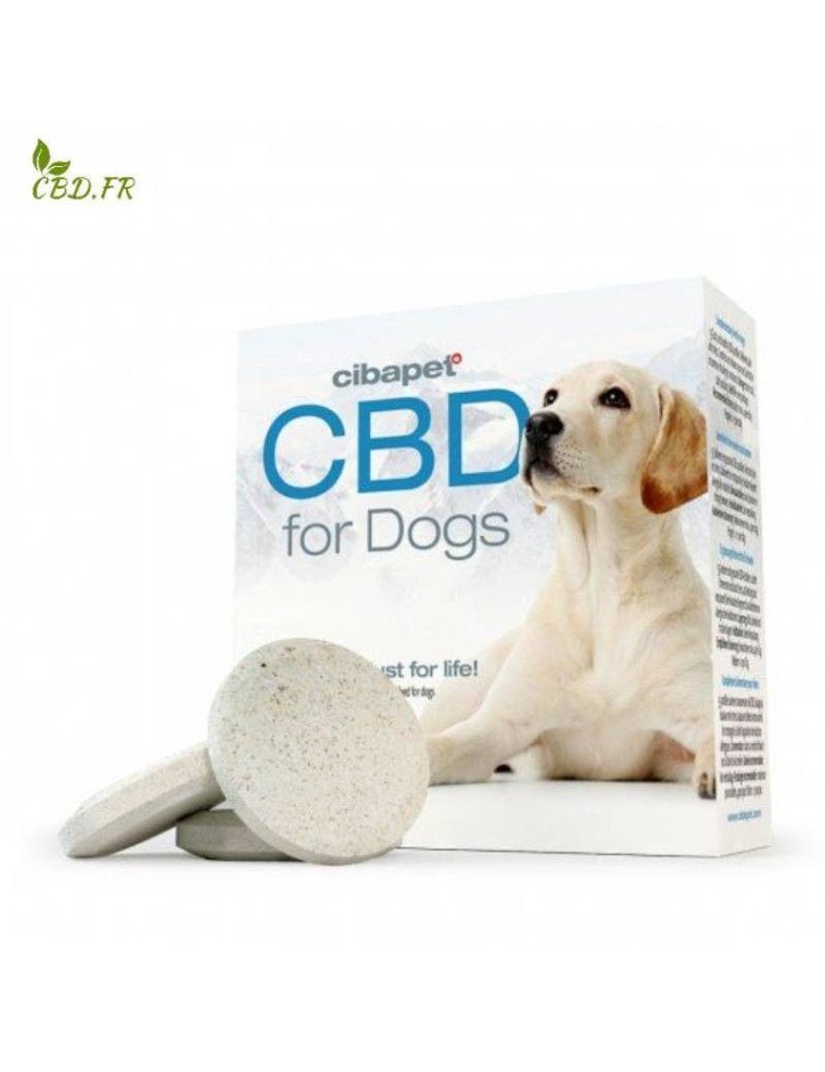 Pastilles de CBD pour chiens