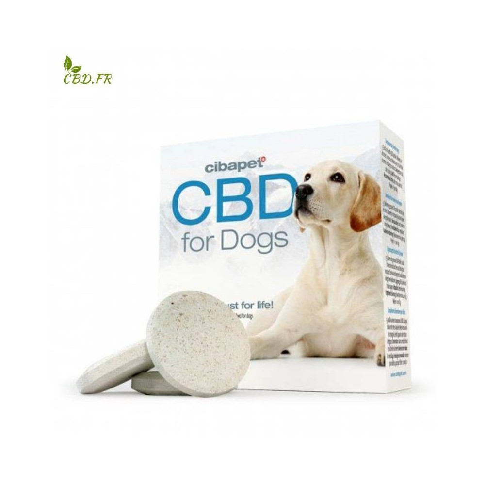 Pastilles de CBD pour chiens
