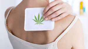 cannabis et douleur