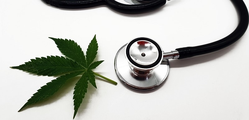 Cannabis médical : un programme de recherche sur 100000 personnes
