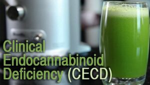 Comprendre la carence clinique en endocannabinoïdes