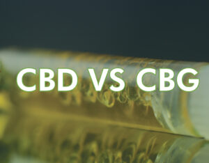 Distinguer le CBG du CBD