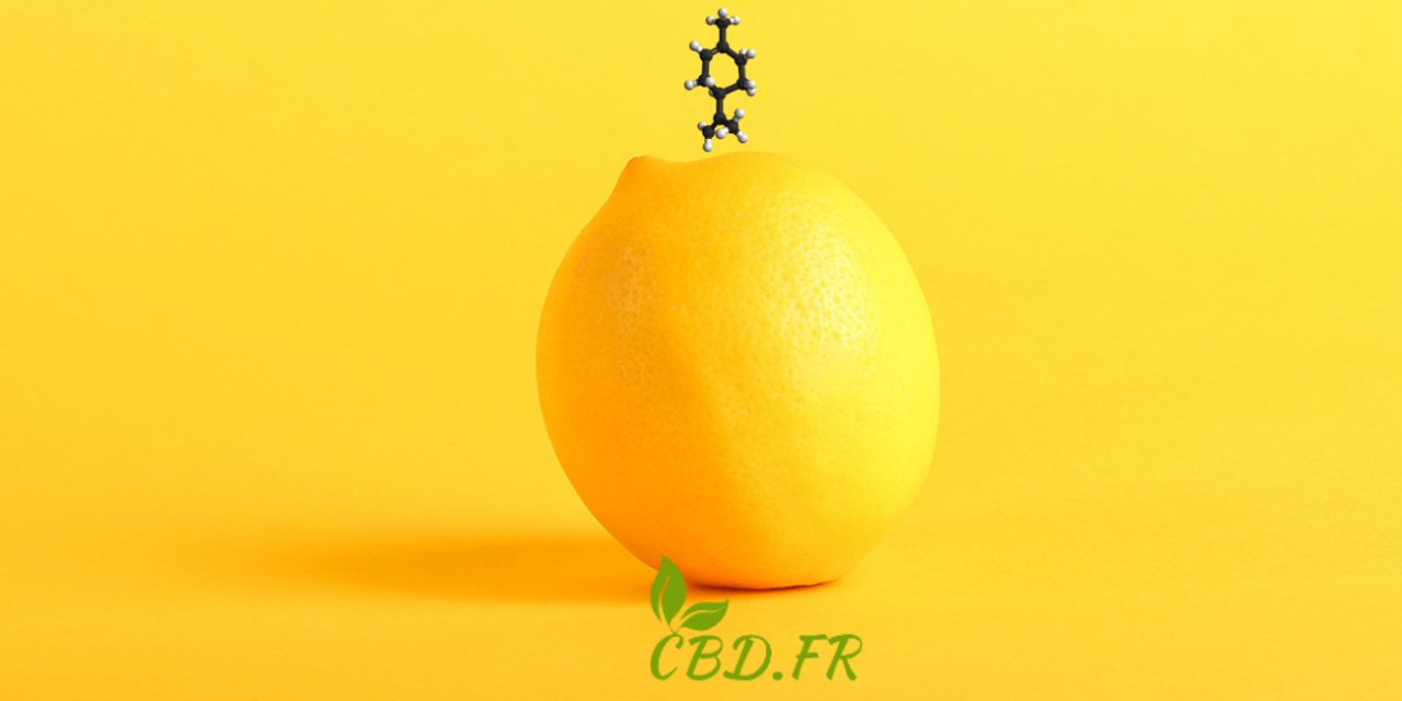 comprendre le limonène