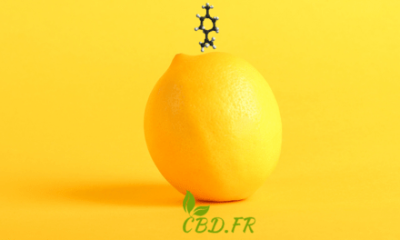 comprendre le limonène