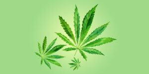 Cannabis : Douleur, Augmentation d’appétit et Désir sexuel