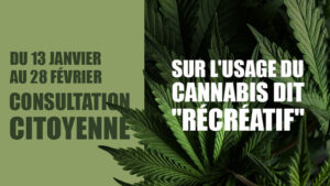 Consultation citoyenne sur l'usage du cannabis recréatif