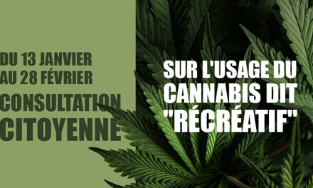Consultation citoyenne sur l’usage du cannabis recréatif