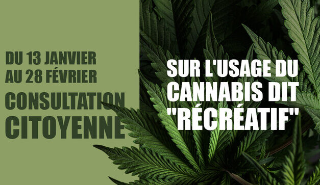 Consultation citoyenne sur l’usage du cannabis recréatif