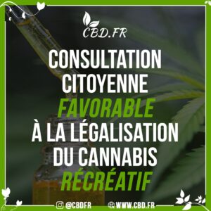 Consultation citoyenne : Les répondants en faveur de la légalisation du cannabis