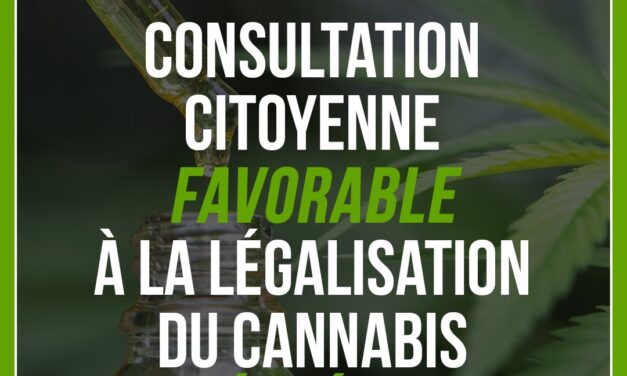 Consultation citoyenne : Les répondants en faveur de la légalisation du cannabis ?
