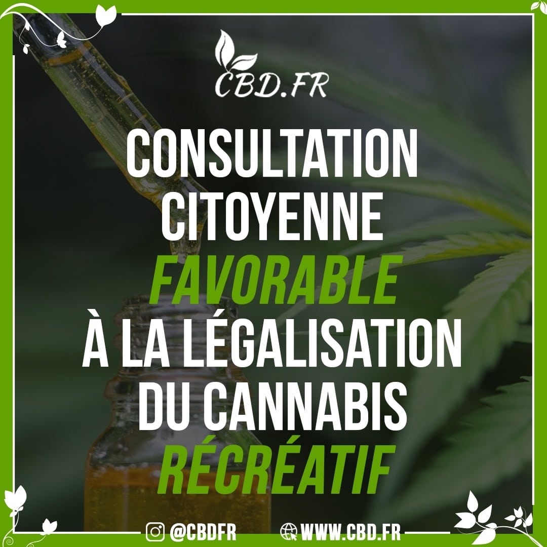 Consultation citoyenne : Les répondants en faveur de la légalisation du cannabis