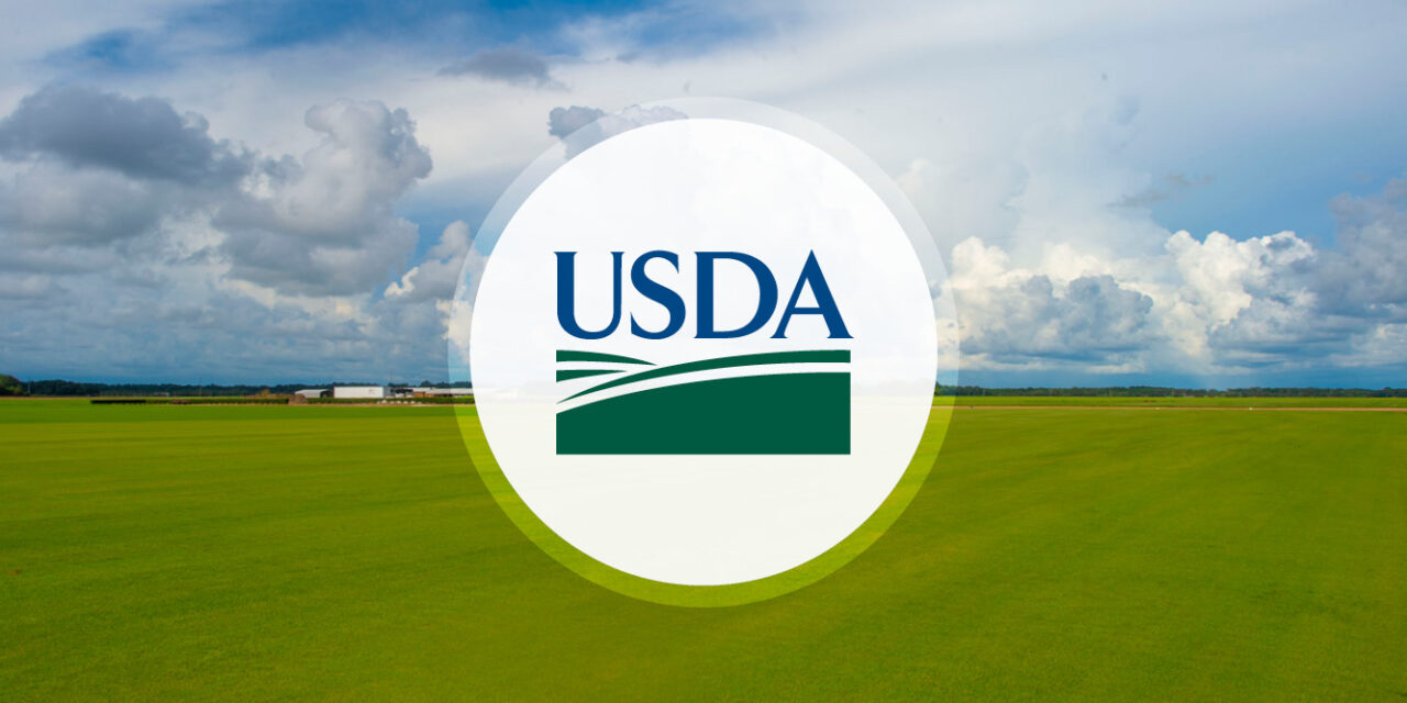USDA : collecte d’informations auprès de 20000 producteurs de chanvre