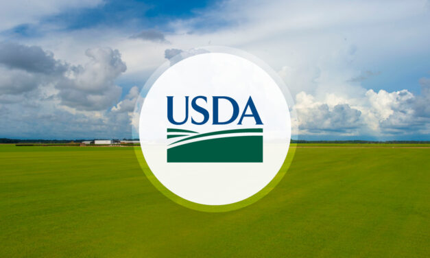 USDA : collecte d’informations auprès de 20000 producteurs de chanvre