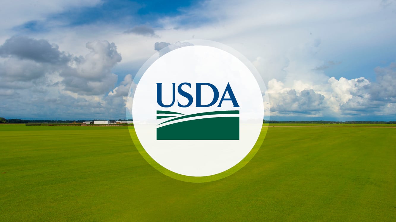 USDA : collecte d'informations auprès de 20000 producteurs de chanvre