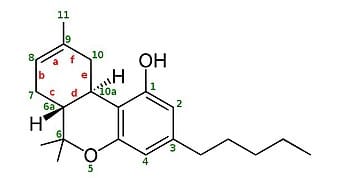 le THC DELTA 8