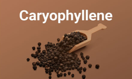 Qu’est-ce que c’est que ce terpène ? Le caryophyllène vu par CBD.fr