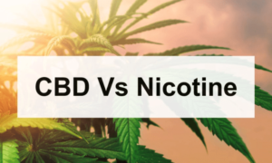 CBD Vs Nicotine dans les e-liquides